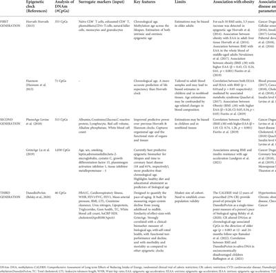 The epigenetic aging, obesity, and lifestyle